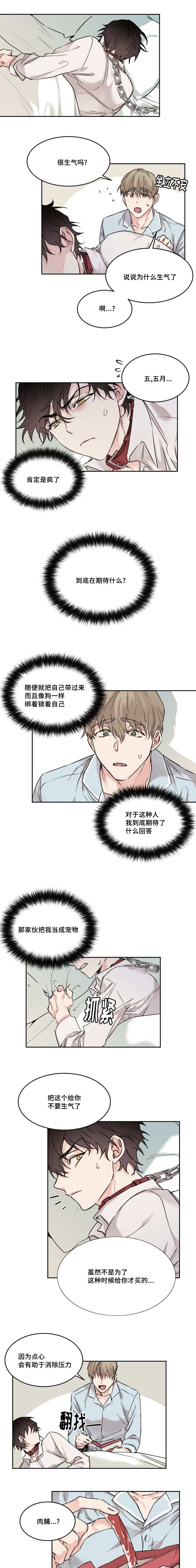 《猫的项圈》漫画最新章节第15话免费下拉式在线观看章节第【3】张图片