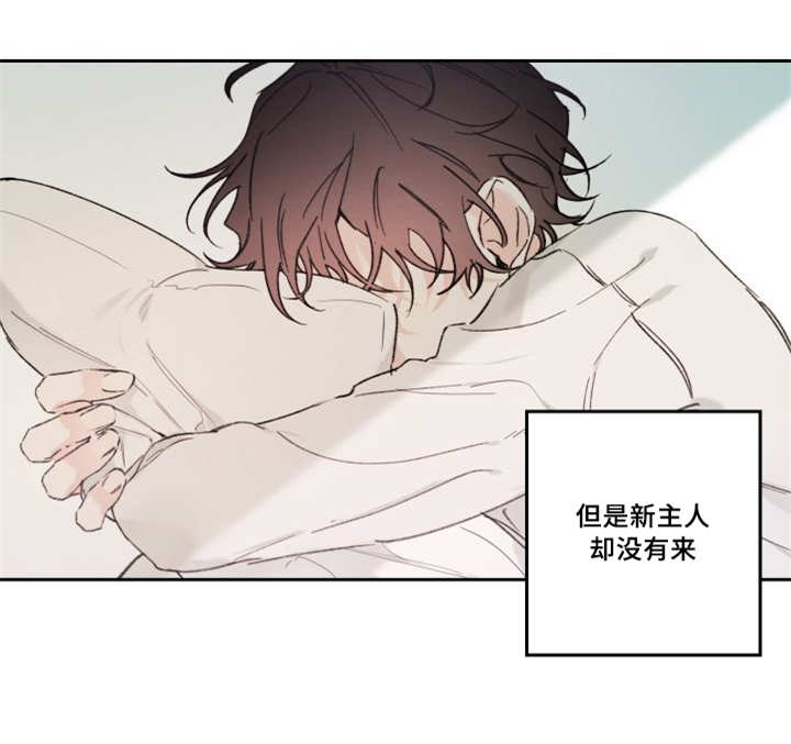 《猫的项圈》漫画最新章节第48话免费下拉式在线观看章节第【65】张图片