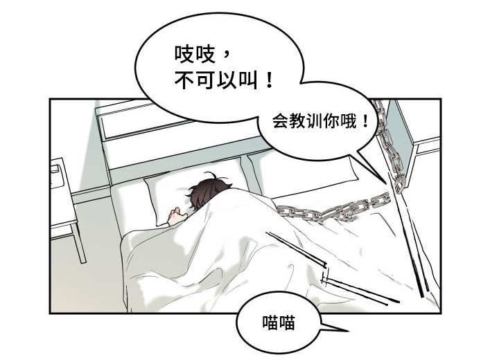 《猫的项圈》漫画最新章节第28话免费下拉式在线观看章节第【9】张图片