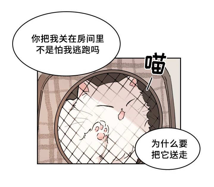 《猫的项圈》漫画最新章节第30话免费下拉式在线观看章节第【63】张图片