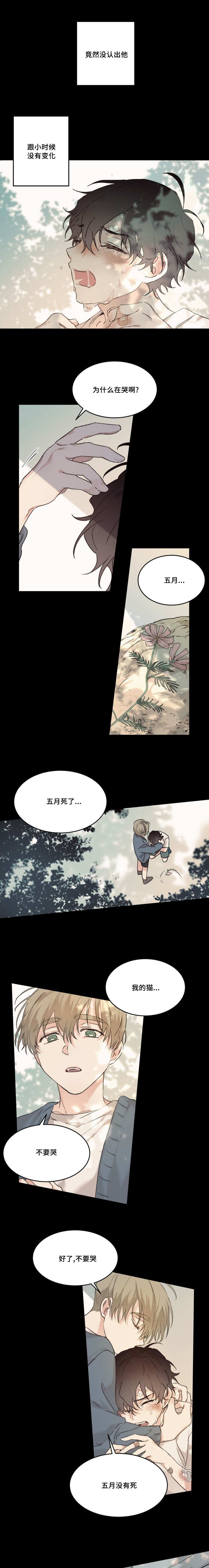 《猫的项圈》漫画最新章节第18话免费下拉式在线观看章节第【7】张图片