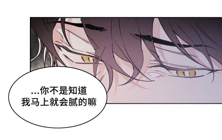 《猫的项圈》漫画最新章节第43话免费下拉式在线观看章节第【49】张图片