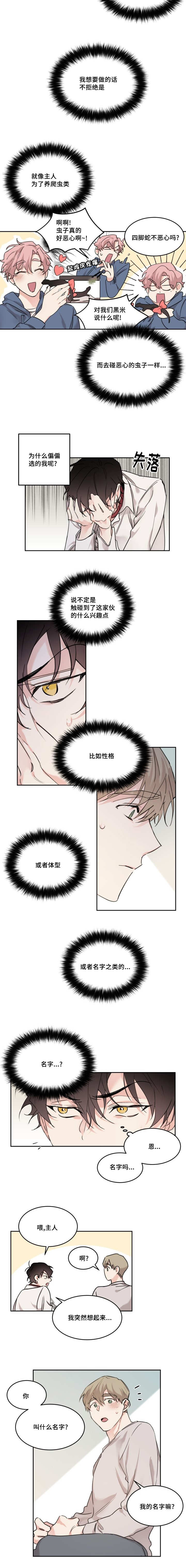 《猫的项圈》漫画最新章节第17话免费下拉式在线观看章节第【11】张图片