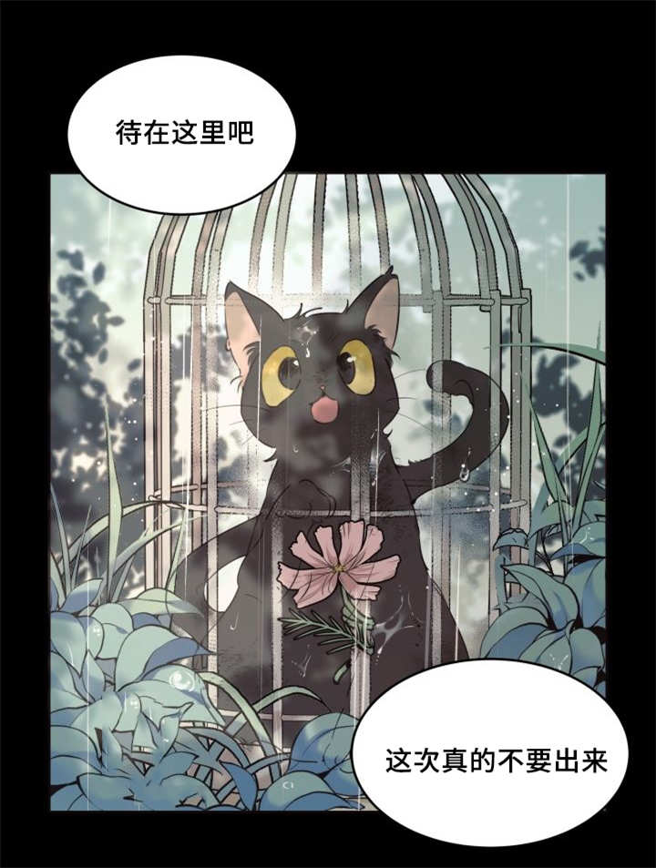 《猫的项圈》漫画最新章节第27话免费下拉式在线观看章节第【9】张图片