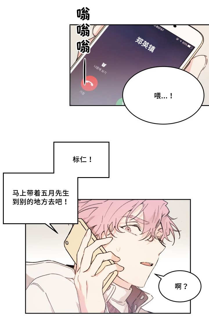 《猫的项圈》漫画最新章节第48话免费下拉式在线观看章节第【41】张图片