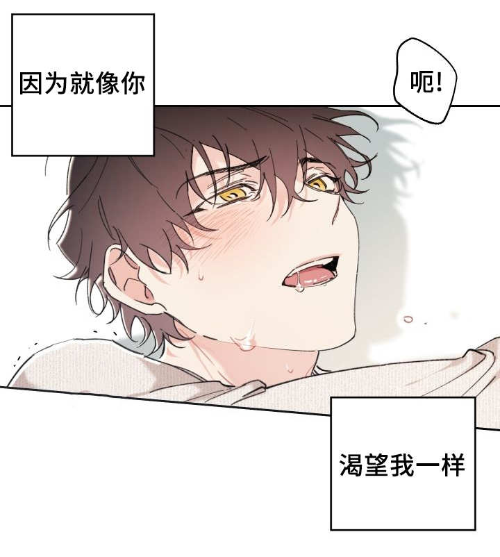 《猫的项圈》漫画最新章节第33话免费下拉式在线观看章节第【59】张图片