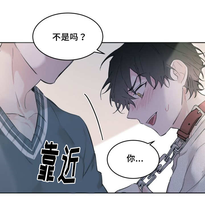 《猫的项圈》漫画最新章节第29话免费下拉式在线观看章节第【21】张图片