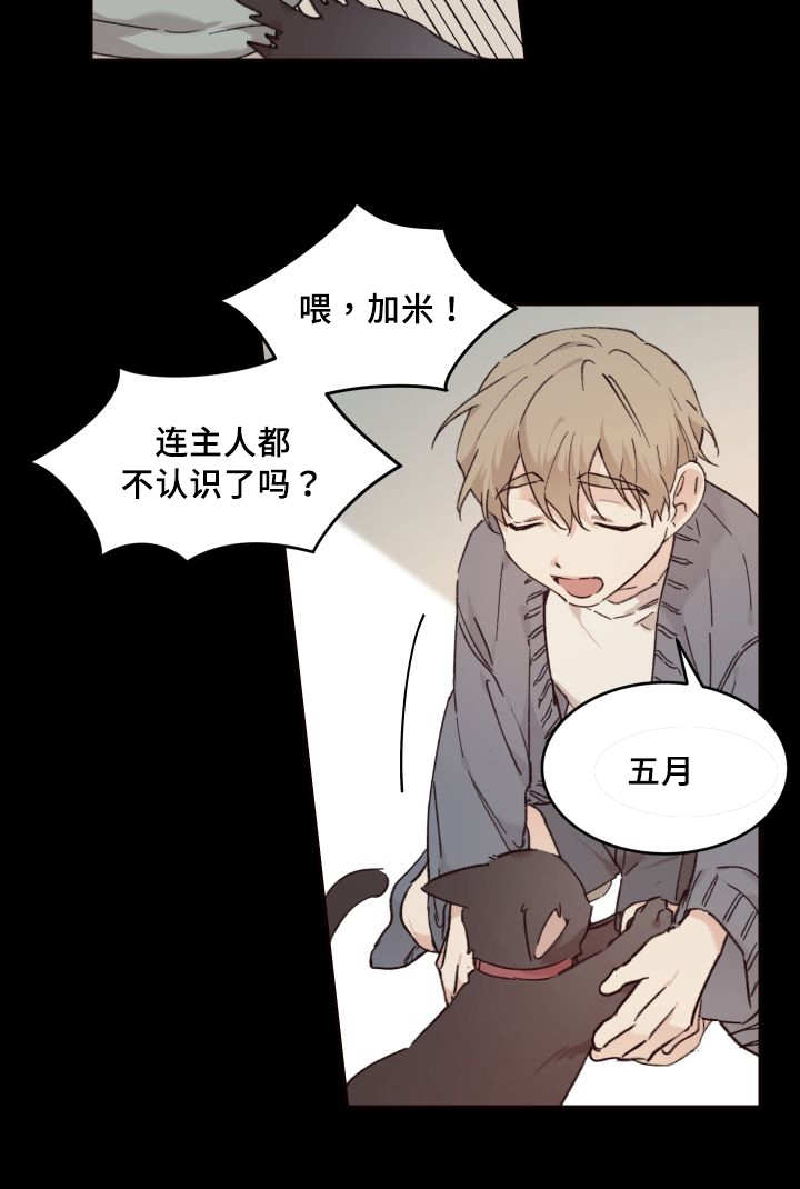 《猫的项圈》漫画最新章节第34话免费下拉式在线观看章节第【59】张图片