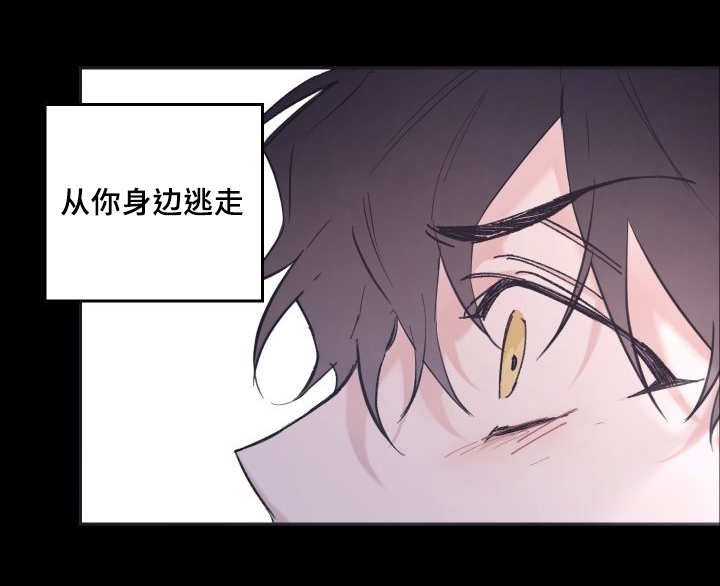 《猫的项圈》漫画最新章节第44话免费下拉式在线观看章节第【51】张图片