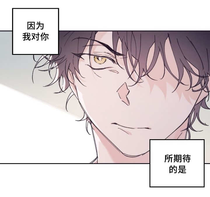 《猫的项圈》漫画最新章节第31话免费下拉式在线观看章节第【33】张图片