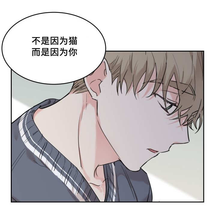 《猫的项圈》漫画最新章节第28话免费下拉式在线观看章节第【47】张图片