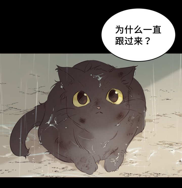 《猫的项圈》漫画最新章节第26话免费下拉式在线观看章节第【9】张图片