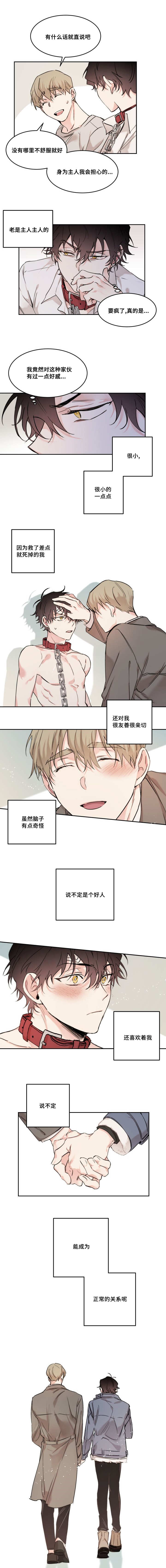 《猫的项圈》漫画最新章节第19话免费下拉式在线观看章节第【5】张图片