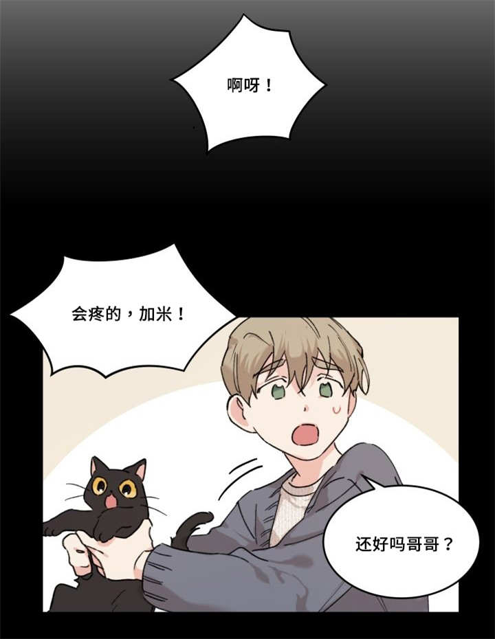 《猫的项圈》漫画最新章节第30话免费下拉式在线观看章节第【27】张图片