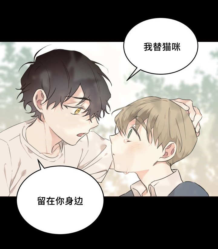 《猫的项圈》漫画最新章节第46话免费下拉式在线观看章节第【45】张图片