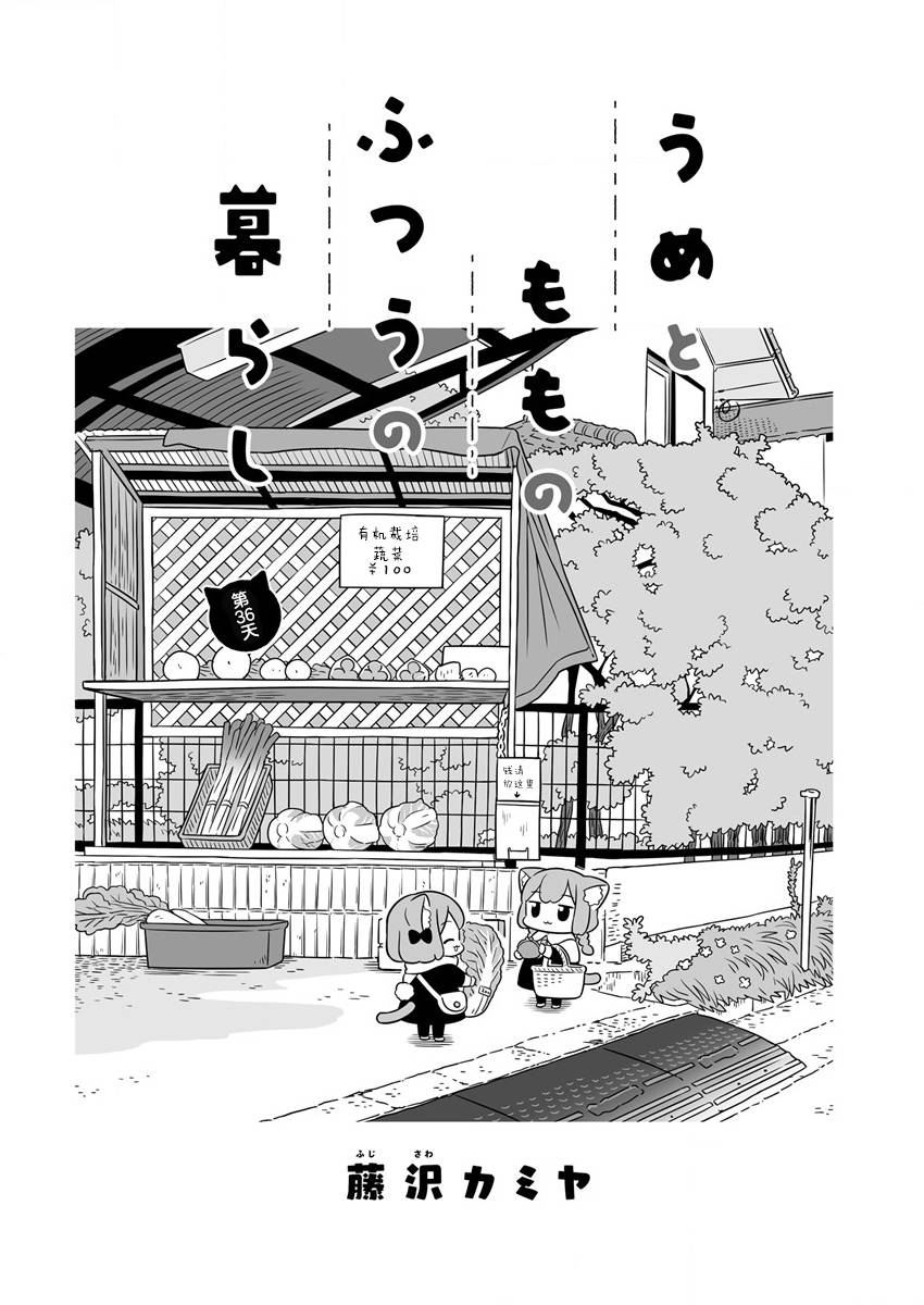 《梅子和小桃的日常生活》漫画最新章节第36话免费下拉式在线观看章节第【1】张图片