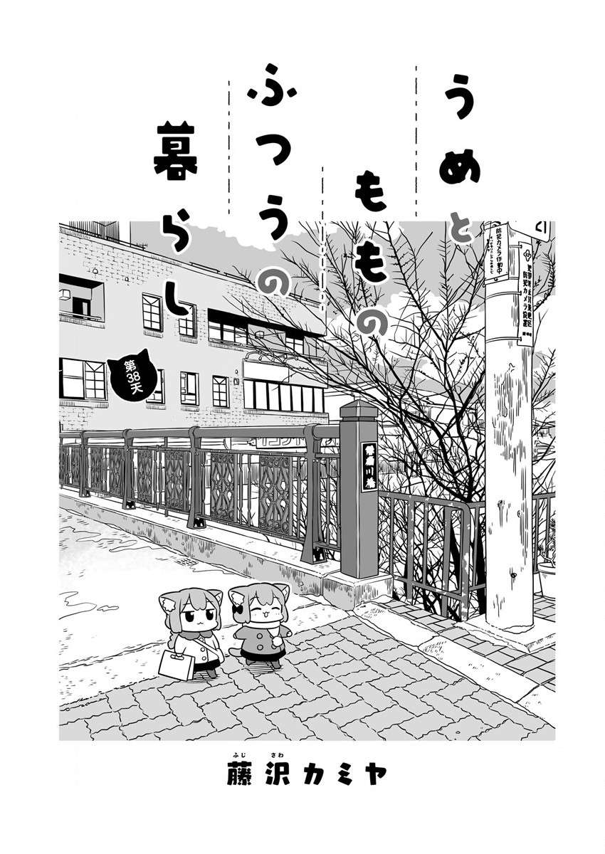 《梅子和小桃的日常生活》漫画最新章节第38话免费下拉式在线观看章节第【1】张图片