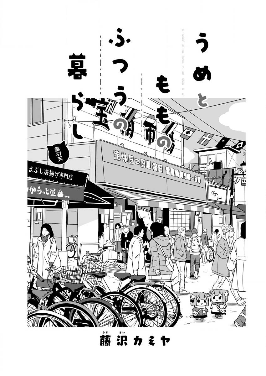 《梅子和小桃的日常生活》漫画最新章节第37话免费下拉式在线观看章节第【1】张图片