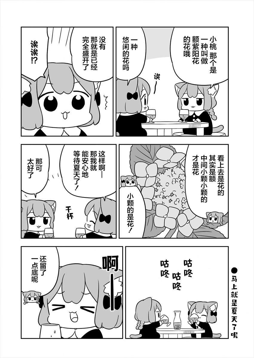 《梅子和小桃的日常生活》漫画最新章节第17话免费下拉式在线观看章节第【10】张图片