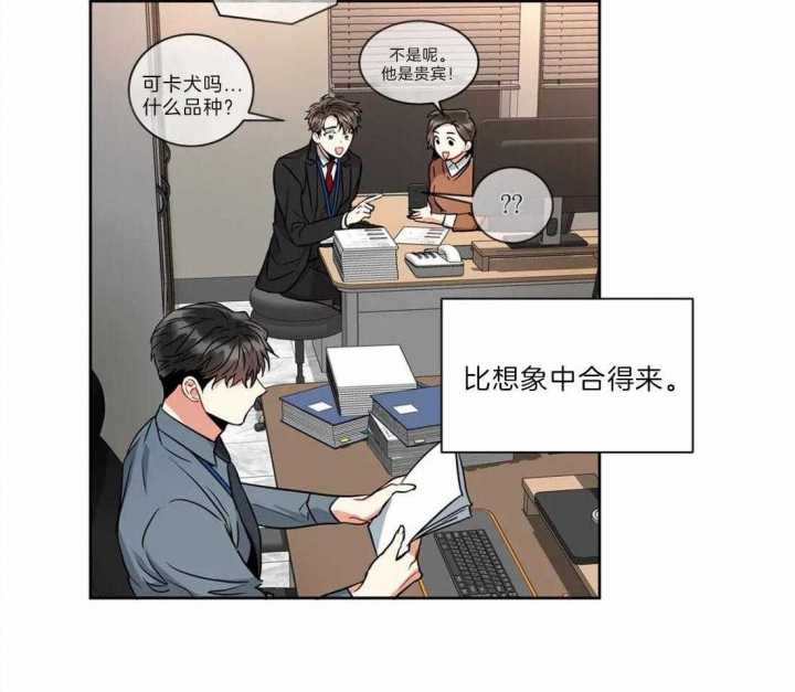 《癫狂之境(I+II季)》漫画最新章节第40话免费下拉式在线观看章节第【4】张图片