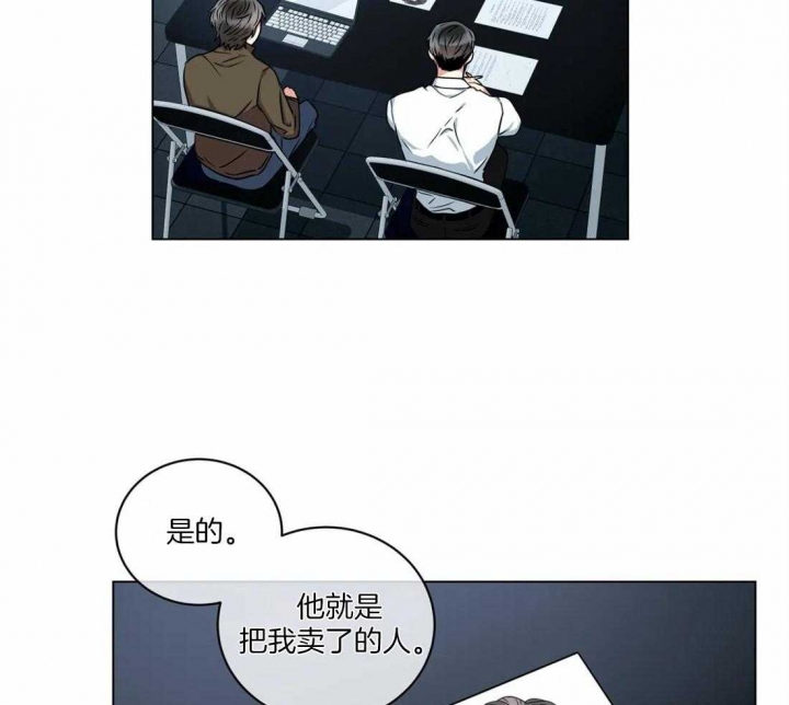 《癫狂之境(I+II季)》漫画最新章节第51话免费下拉式在线观看章节第【33】张图片