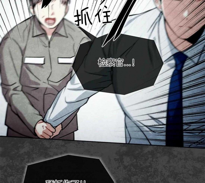 《癫狂之境(I+II季)》漫画最新章节第71话免费下拉式在线观看章节第【10】张图片