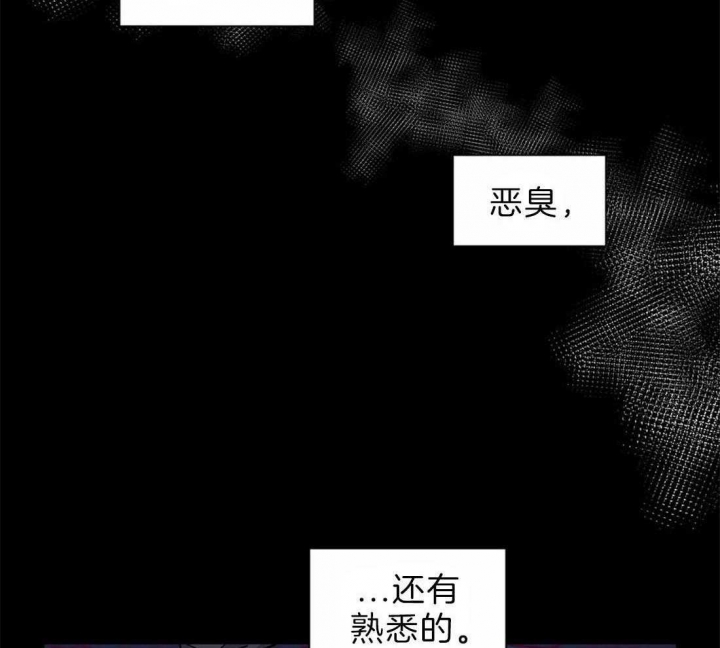 《癫狂之境(I+II季)》漫画最新章节第38话免费下拉式在线观看章节第【6】张图片