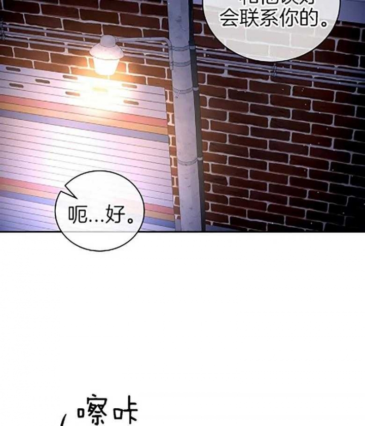 《癫狂之境(I+II季)》漫画最新章节第85话免费下拉式在线观看章节第【51】张图片