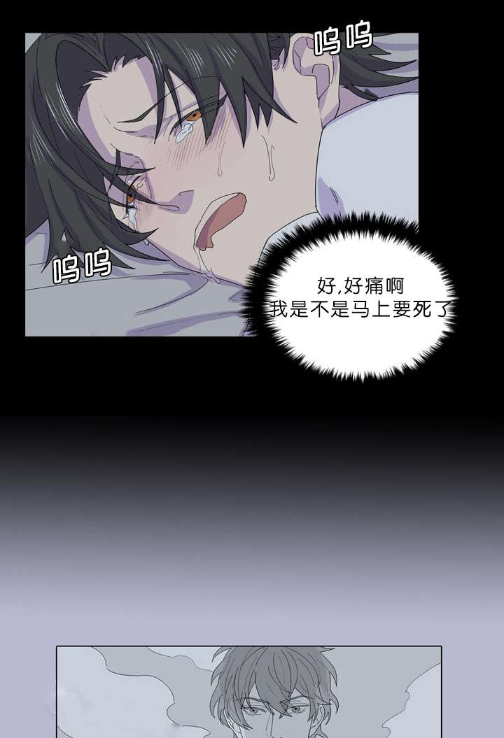 《孤舟迷局》漫画最新章节第34话免费下拉式在线观看章节第【27】张图片