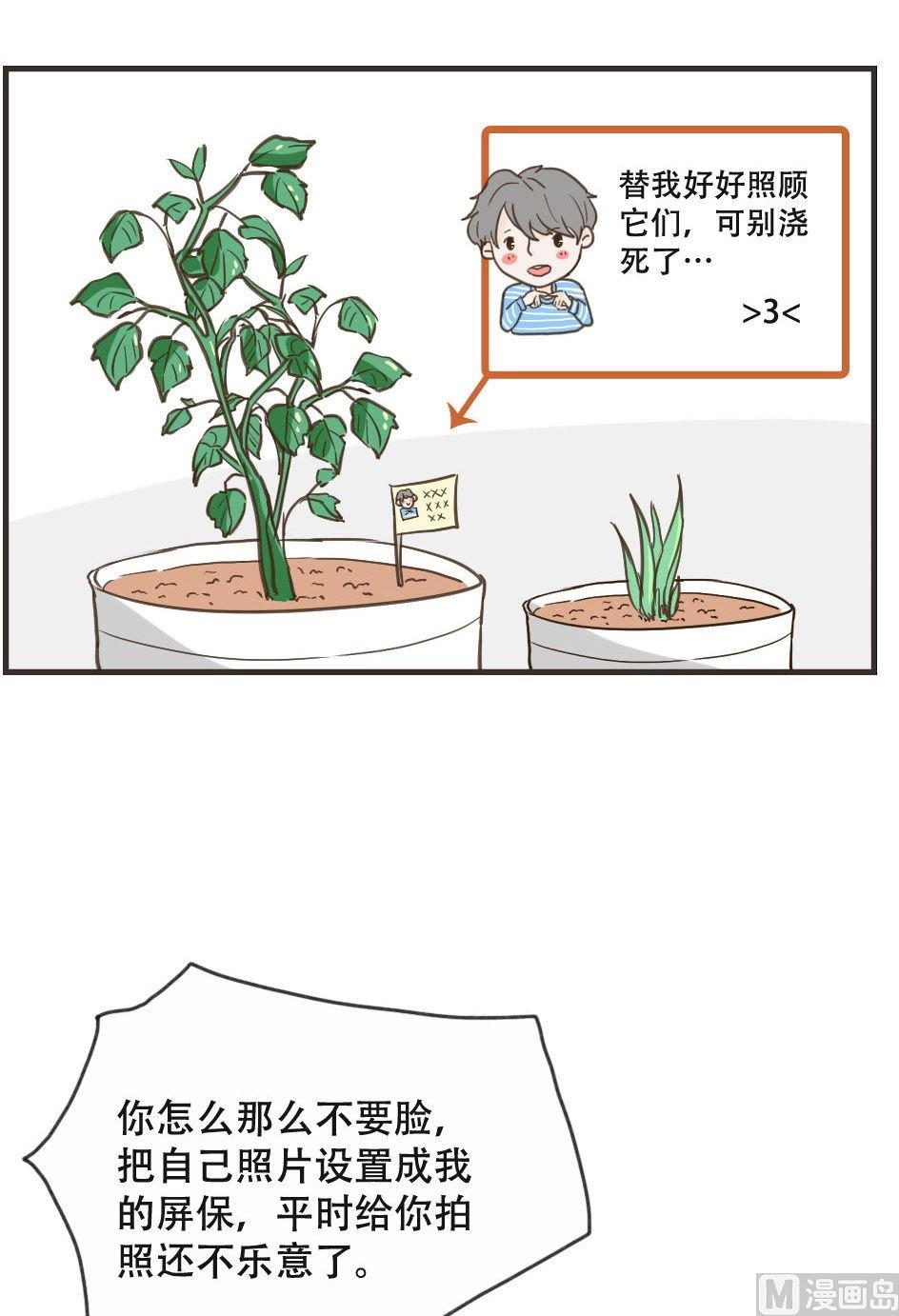 《软糖薄荷》漫画最新章节第106话免费下拉式在线观看章节第【15】张图片