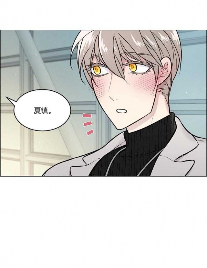 《喜鹊报恩》漫画最新章节第19话免费下拉式在线观看章节第【3】张图片