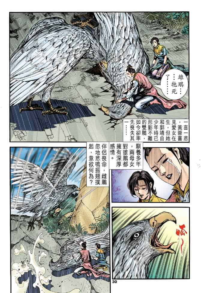 《神雕侠侣》漫画最新章节第81话免费下拉式在线观看章节第【29】张图片