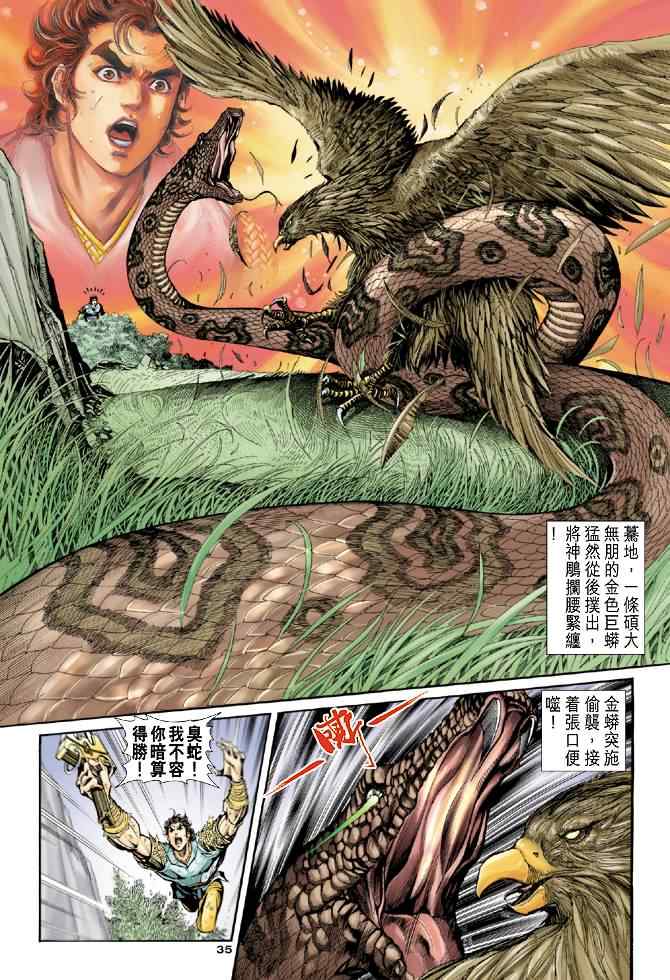 《神雕侠侣》漫画最新章节第50话免费下拉式在线观看章节第【35】张图片