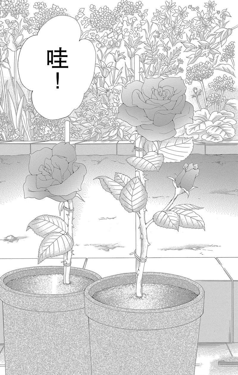 《蔷薇色的约定》漫画最新章节第19话免费下拉式在线观看章节第【3】张图片