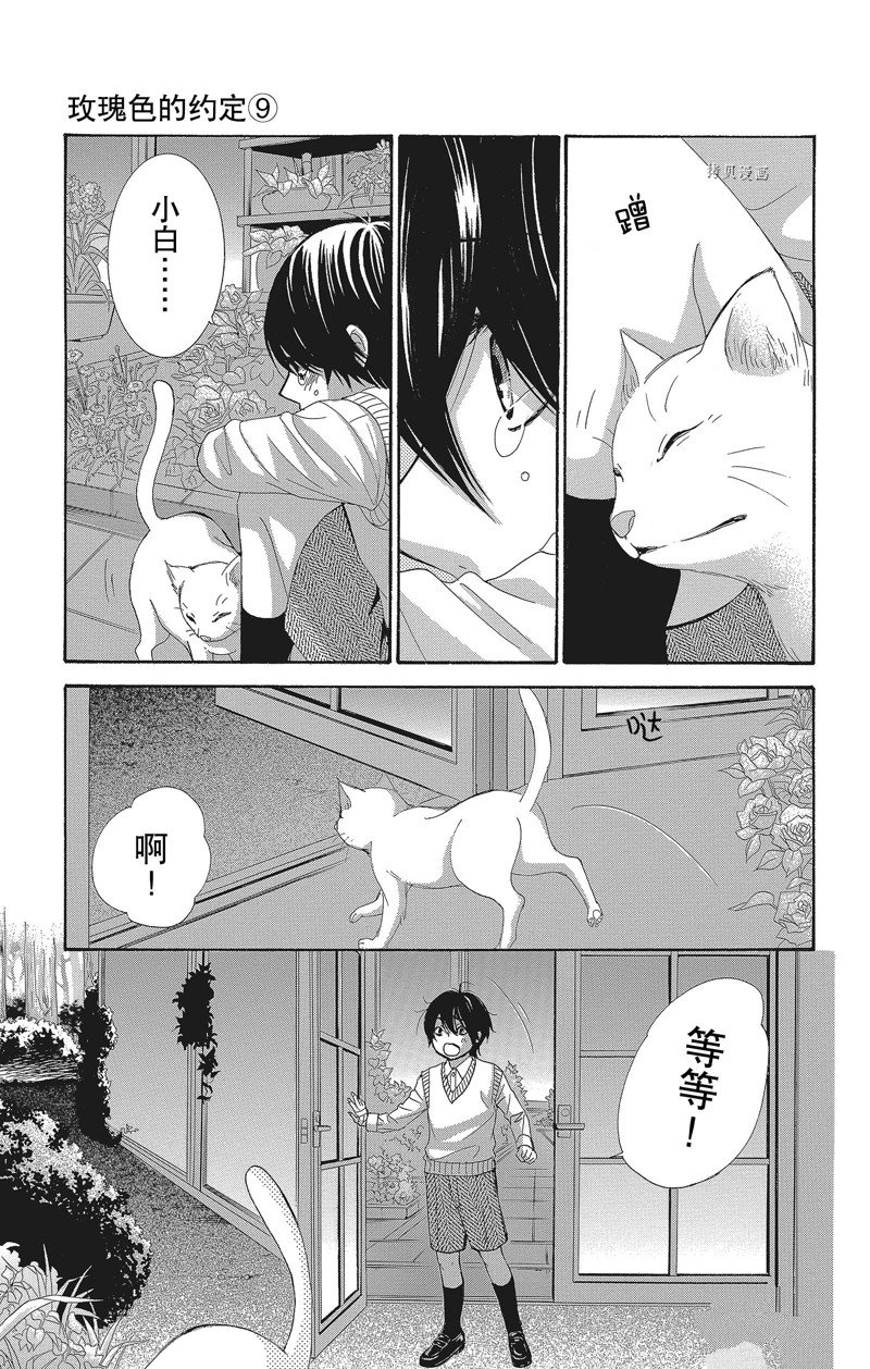 《蔷薇色的约定》漫画最新章节第36话免费下拉式在线观看章节第【31】张图片