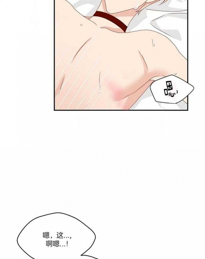 《欧米伽的恋爱(Ⅰ＋Ⅱ)》漫画最新章节第79话免费下拉式在线观看章节第【15】张图片