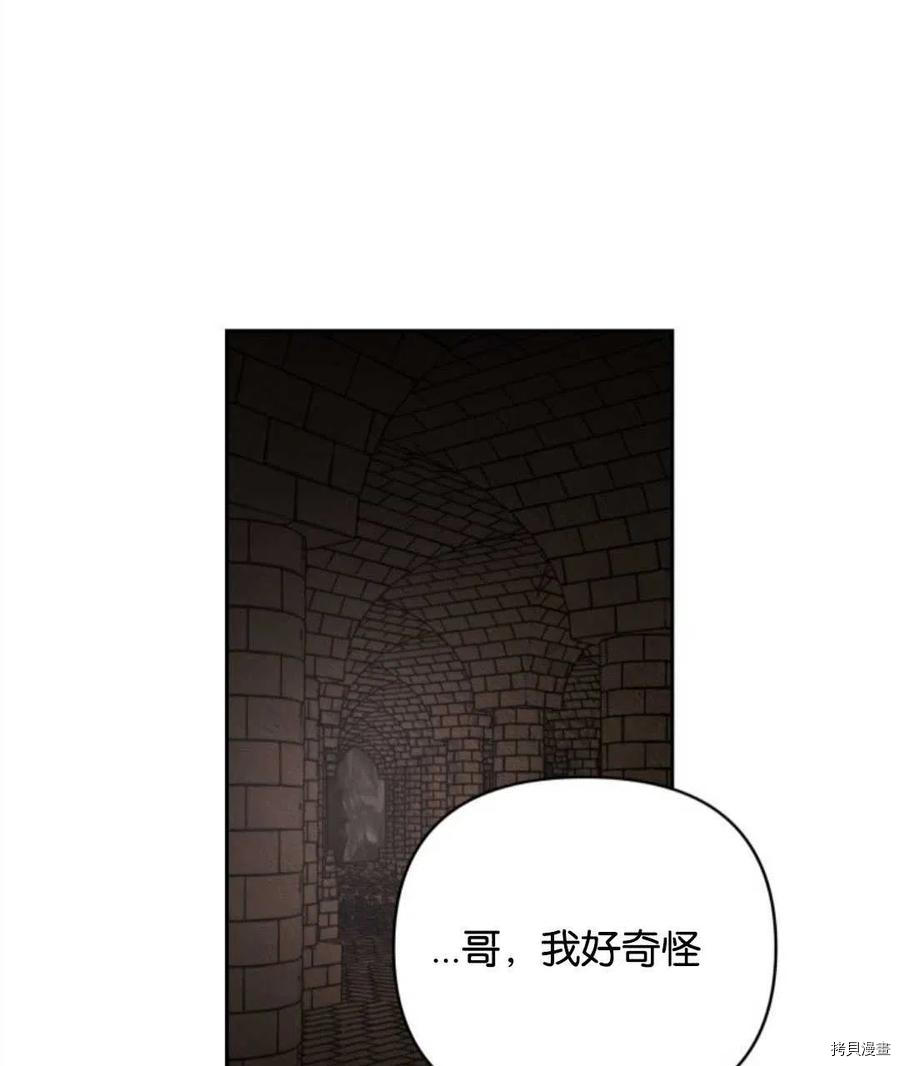 《都灵的莉莲》漫画最新章节第17话免费下拉式在线观看章节第【107】张图片