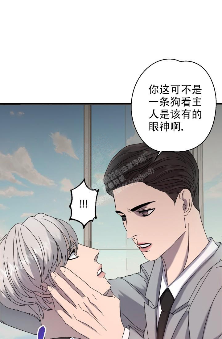 《逃生任务》漫画最新章节第9话免费下拉式在线观看章节第【22】张图片