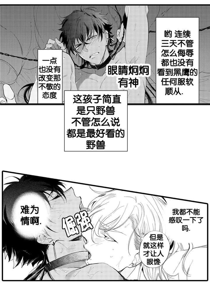 《撒哈拉沙漠的黑鹰》漫画最新章节第6话免费下拉式在线观看章节第【3】张图片