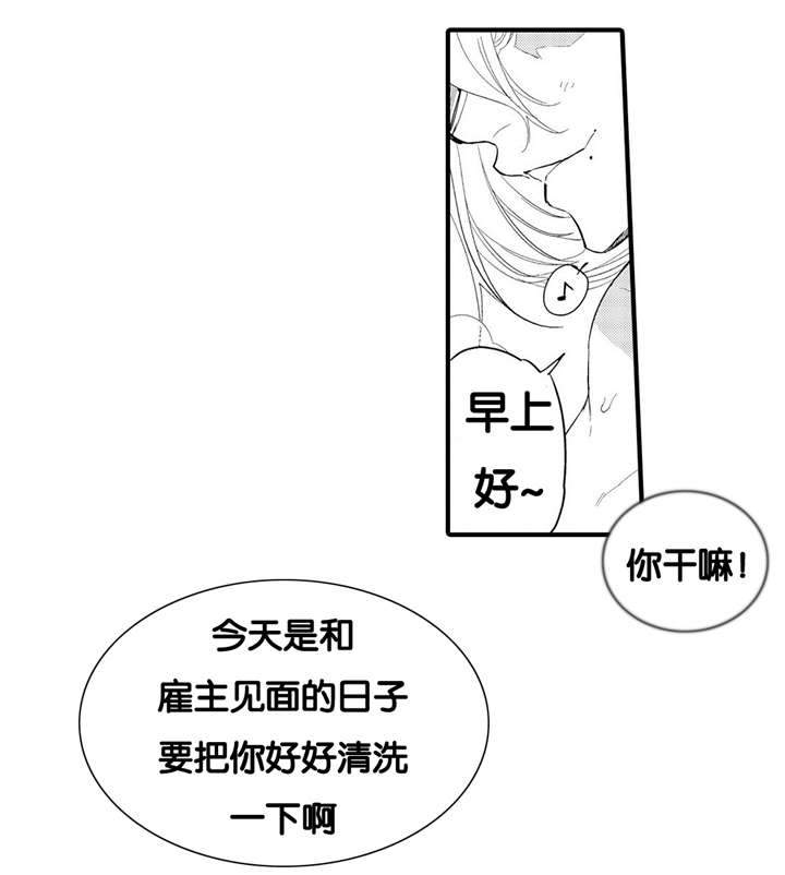 《撒哈拉沙漠的黑鹰》漫画最新章节第4话免费下拉式在线观看章节第【5】张图片