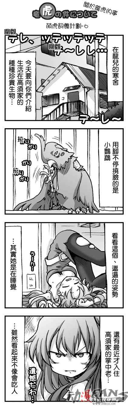 《龙虎斗》漫画最新章节萌虎饲养计划免费下拉式在线观看章节第【6】张图片