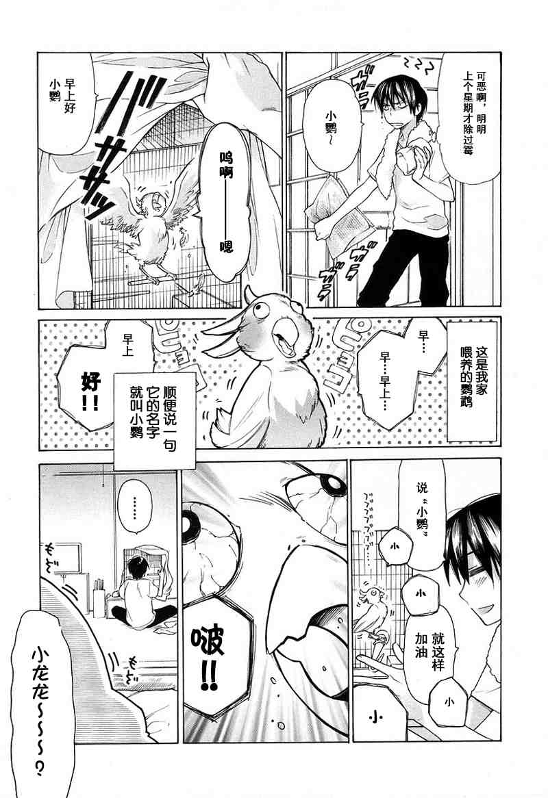 《龙虎斗》漫画最新章节第1卷免费下拉式在线观看章节第【12】张图片