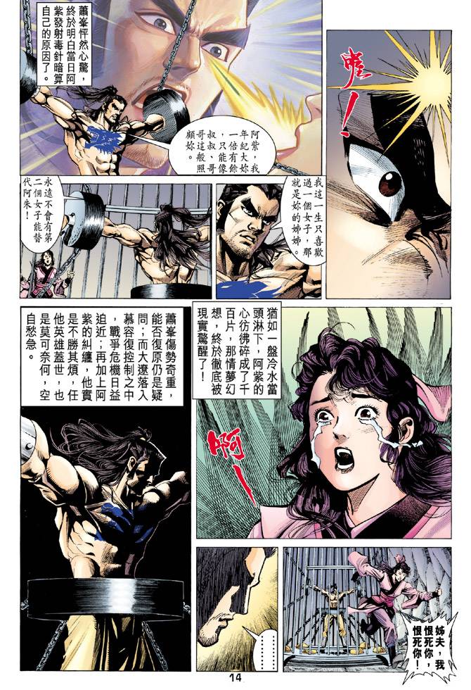 《天龙八部》漫画最新章节第96回免费下拉式在线观看章节第【14】张图片