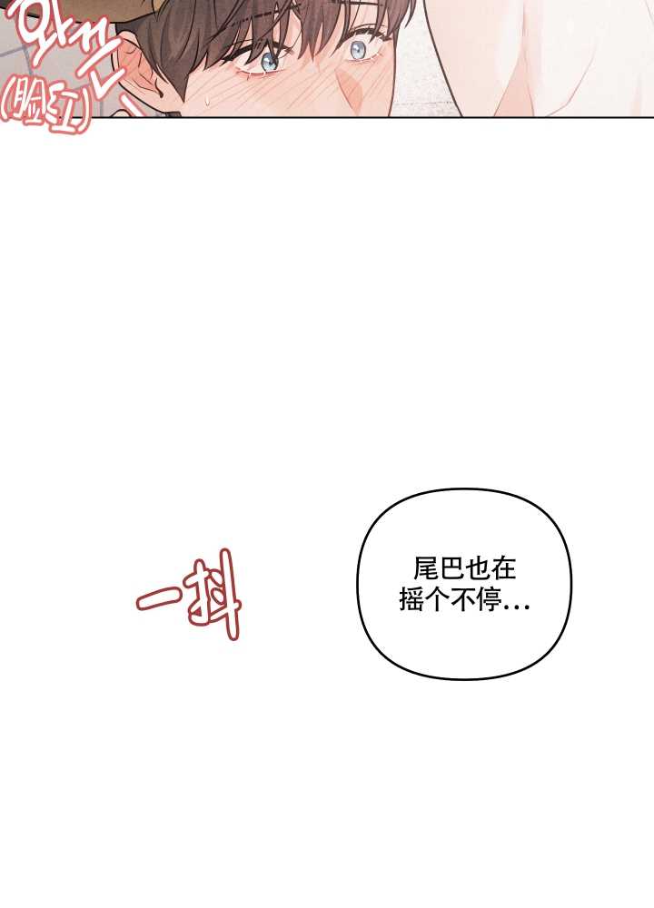 《狗狗的恋爱》漫画最新章节第1话免费下拉式在线观看章节第【24】张图片