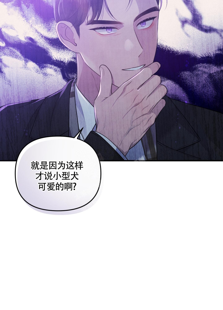 《狗狗的恋爱》漫画最新章节第23话免费下拉式在线观看章节第【17】张图片