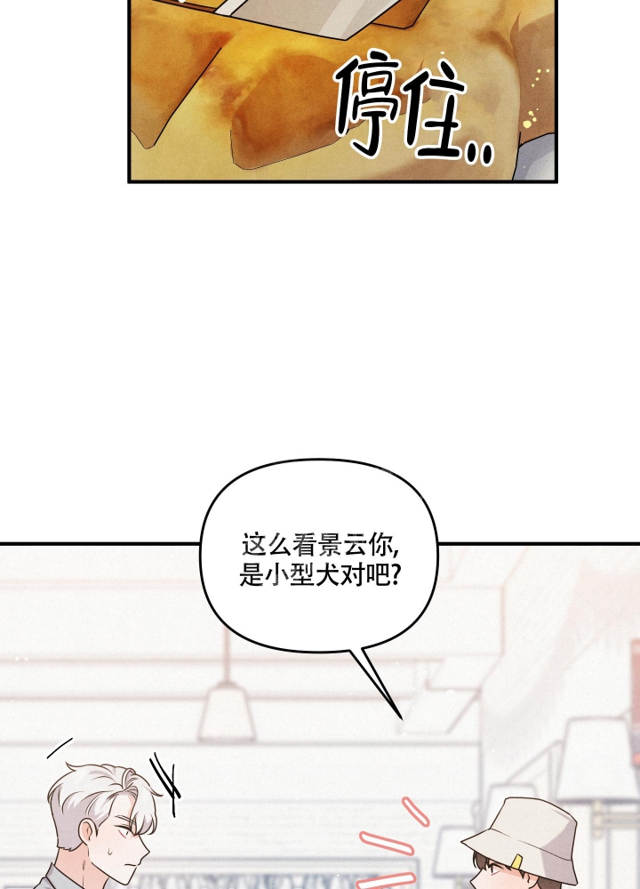 《狗狗的恋爱》漫画最新章节第4话免费下拉式在线观看章节第【13】张图片