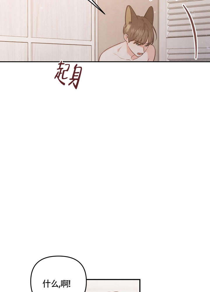 《狗狗的恋爱》漫画最新章节第30话免费下拉式在线观看章节第【44】张图片