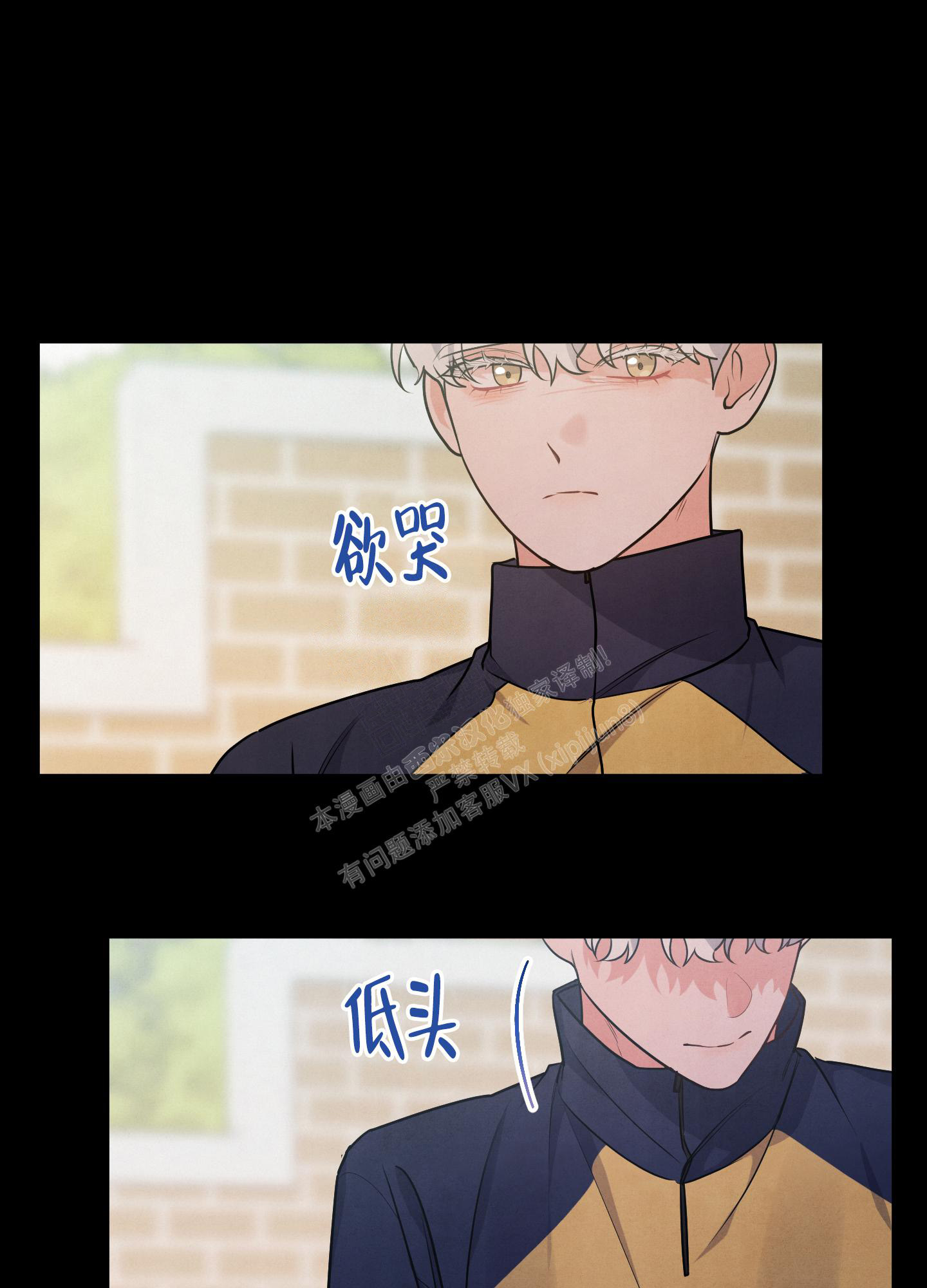 《狗狗的恋爱》漫画最新章节第41话免费下拉式在线观看章节第【17】张图片