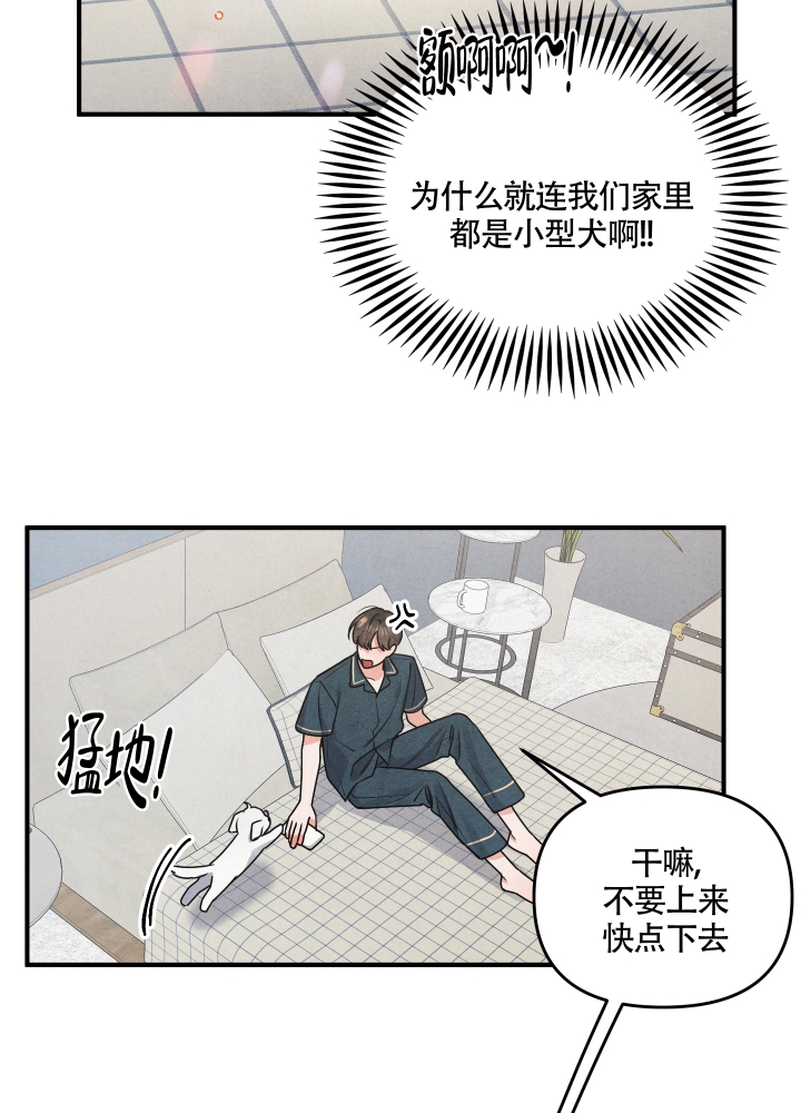 《狗狗的恋爱》漫画最新章节第1话免费下拉式在线观看章节第【9】张图片