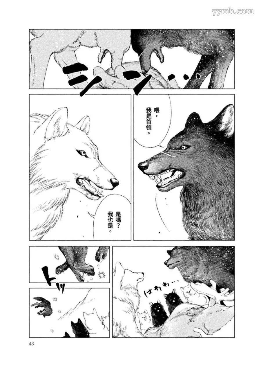 《WOLF PACK 狼族》漫画最新章节第1卷免费下拉式在线观看章节第【42】张图片